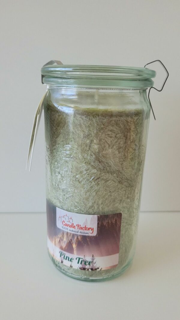 Candle Factory - Mini Jumbo - Kaars - Pine Tree